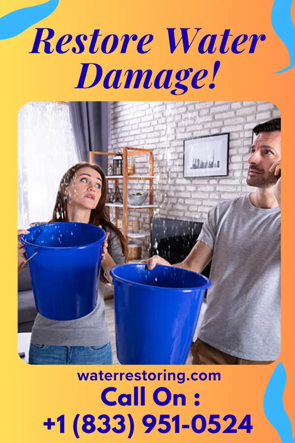 water restoration Expert Water Solutions Brothers Salisbury