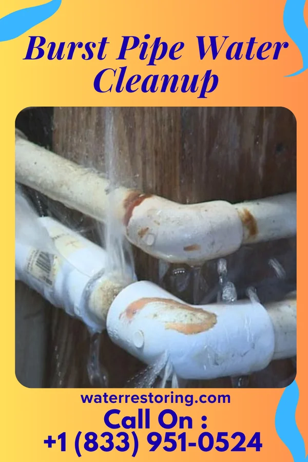 Burst Pipe Water Cleanup in Salisbury, NY
