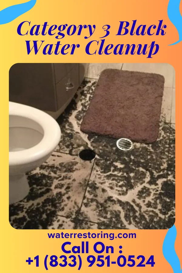 Category 3 Black Water Cleanup in Salisbury, NY