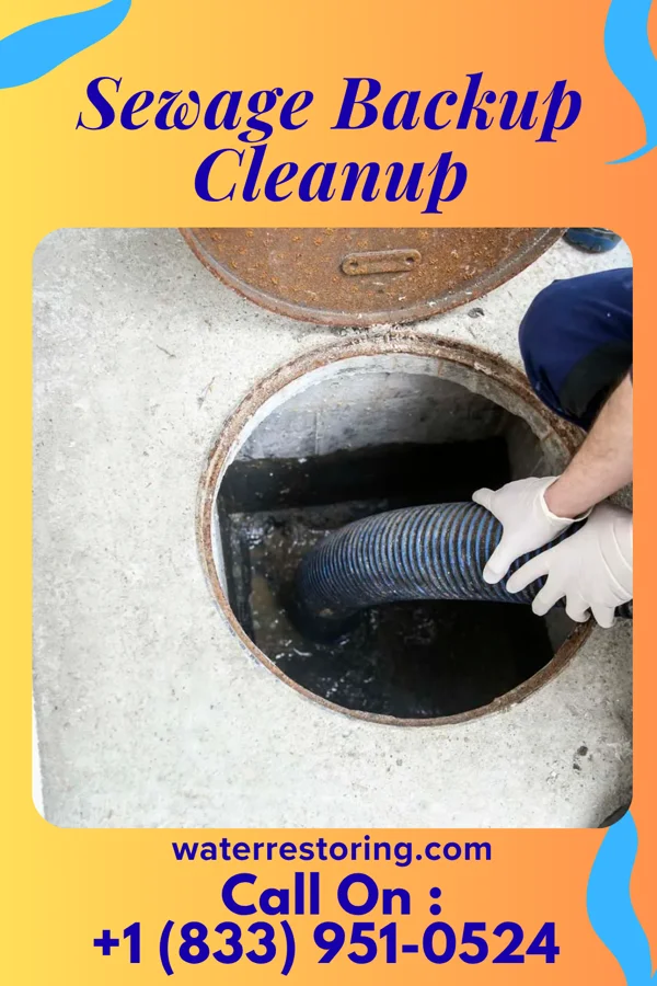 Sewage Backup Cleanup in Salisbury, NY