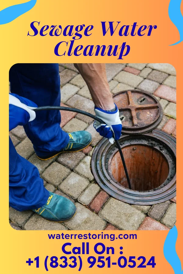Sewage Water Cleanup in Salisbury, NY