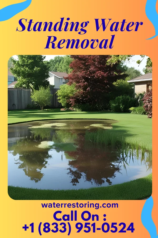 Standing Water Removal in Salisbury, NY